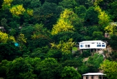 IIP Online Student Photography